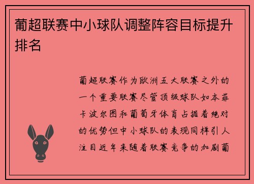葡超联赛中小球队调整阵容目标提升排名