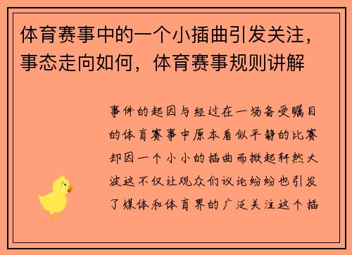 体育赛事中的一个小插曲引发关注，事态走向如何，体育赛事规则讲解
